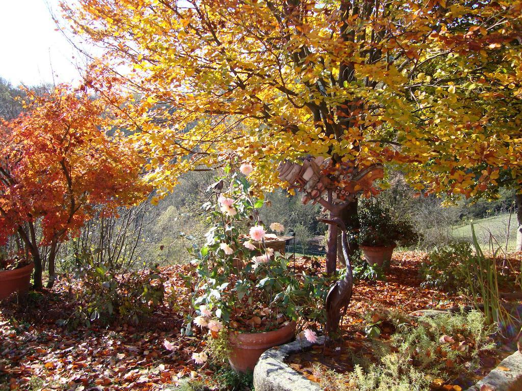 Bed and Breakfast Cascina Nel Bosco Moncucco Torinese Exterior foto