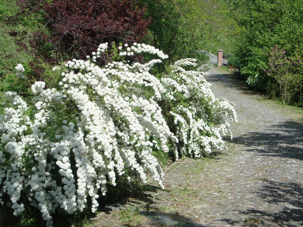 Bed and Breakfast Cascina Nel Bosco Moncucco Torinese Exterior foto